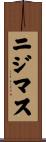 ニジマス Scroll