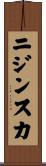ニジンスカ Scroll