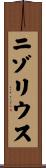 ニゾリウス Scroll