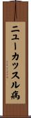 ニューカッスル病 Scroll