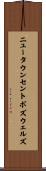 ニュータウンセントボズウェルズ Scroll