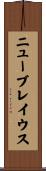 ニューブレイウス Scroll