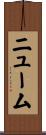 ニューム Scroll