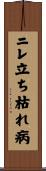 ニレ立ち枯れ病 Scroll