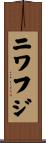 ニワフジ Scroll