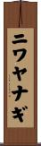 ニワヤナギ Scroll