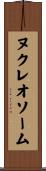ヌクレオソーム Scroll