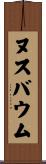 Nussbaum Scroll