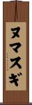 ヌマスギ Scroll
