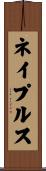 ネイプルス Scroll