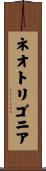 ネオトリゴニア Scroll