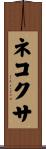 ネコクサ Scroll