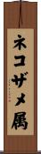 ネコザメ属 Scroll