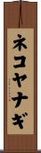 ネコヤナギ Scroll
