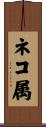 ネコ属 Scroll