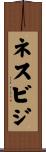 ネスビジ Scroll