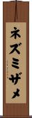 ネズミザメ Scroll