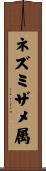 ネズミザメ属 Scroll