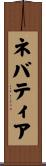 ネバティア Scroll