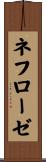 ネフローゼ Scroll