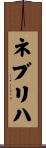 ネブリハ Scroll