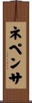 ネペンサ Scroll