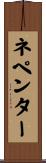 ネペンター Scroll
