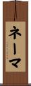 Naima Scroll