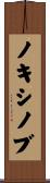 ノキシノブ Scroll