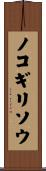 ノコギリソウ Scroll
