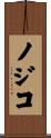 ノジコ Scroll