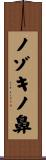 ノゾキノ鼻 Scroll