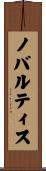 ノバルティス Scroll