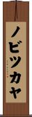 ノビツカヤ Scroll