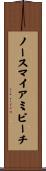 ノースマイアミビーチ Scroll