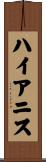 ハイアニス Scroll