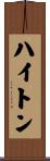ハイトン Scroll