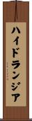 ハイドランジア Scroll