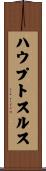 ハウプトスルス Scroll