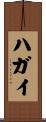 ハガイ Scroll