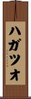 ハガツオ Scroll