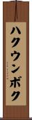 ハクウンボク Scroll