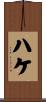 ハケ Scroll