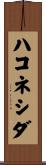 ハコネシダ Scroll