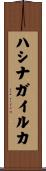 ハシナガイルカ Scroll