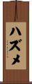 ハズメ Scroll