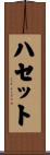 ハセット Scroll
