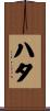 ハタ Scroll