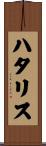 ハタリス Scroll