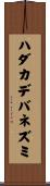 ハダカデバネズミ Scroll